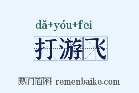 打游飞是什么意思的图片